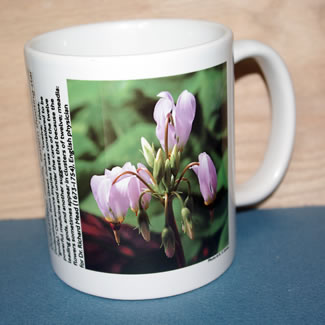 mug DS-075  6693.jpg